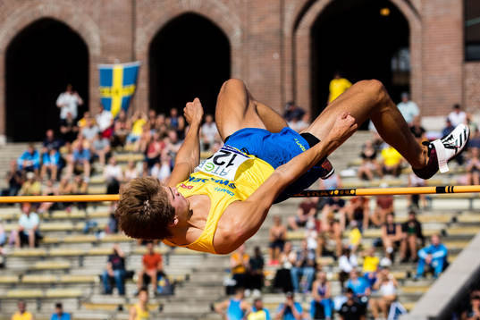 Fabian Delryd of Sweden men's high jump