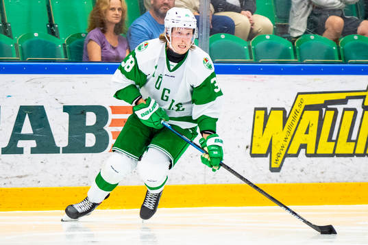 Rögles  Erik Andersson