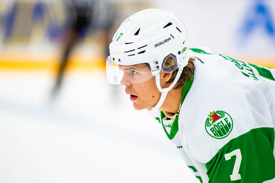 Rögles  Erlend Lesund