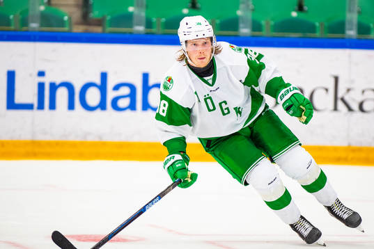 Rögles  Erik Andersson