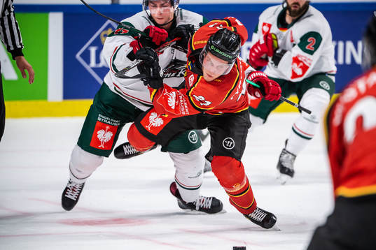Adam Payerl of Augsburger Panthers and Juhani Tyrväinen of