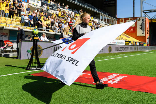 Svenska spel fana