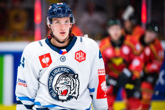 Jan Ordos of Liberec looks dejected as Luleå celebrates