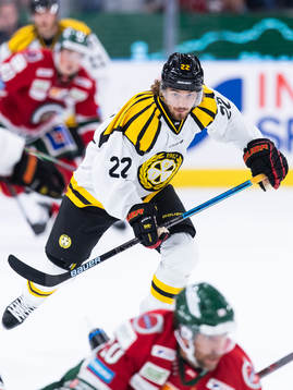 Brynäs Adam Brodecki