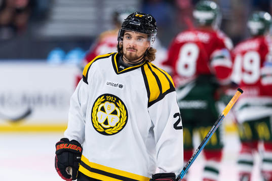 Brynäs Adam Brodecki