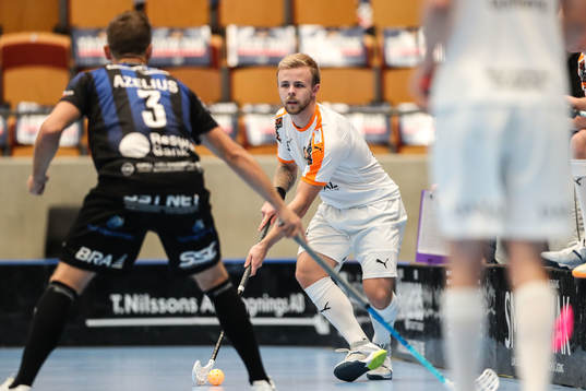 Höllvikens Felix Strandljung