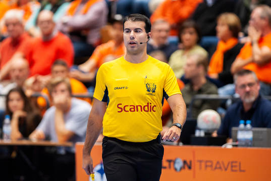 Domare Sandro Smailagic