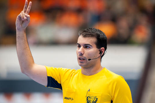 Domare Sandro Smailagic