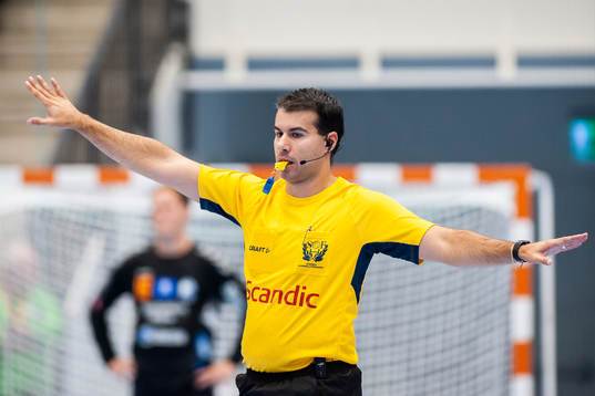 Domare Sandro Smailagic