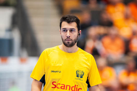 Domare Andrej Smailagic
