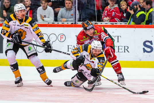 Skellefteås Arvid Lundberg och Örebros Joonas Rask
