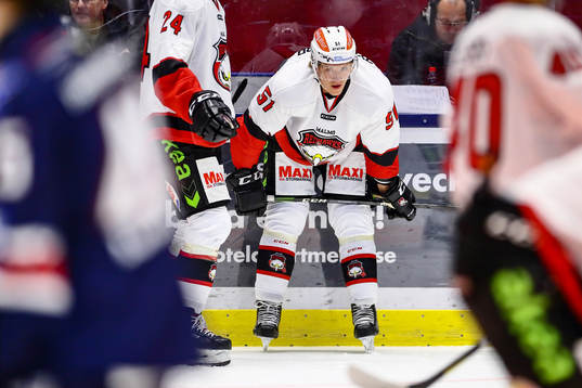 Malmö Redhawks Emil Sylvegård
