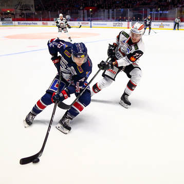 Linköpings Joe Whitney och Malmö Redhawks Adam Ollas