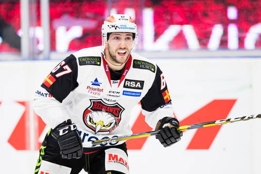 Malmö Redhawks Konstantin Komarek