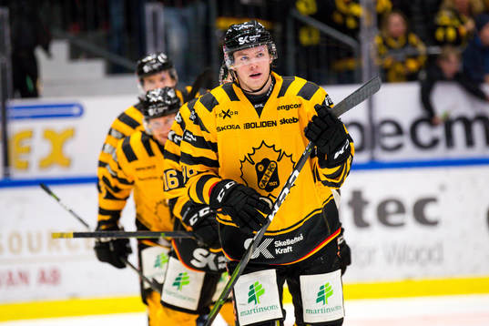 Skellefteås Rickard Hugg jublar