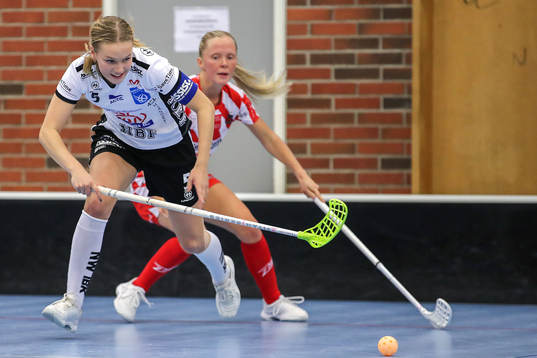 Nackas Vilde Rundfloen
