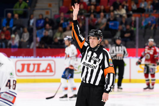 Domare Morgan Johansson