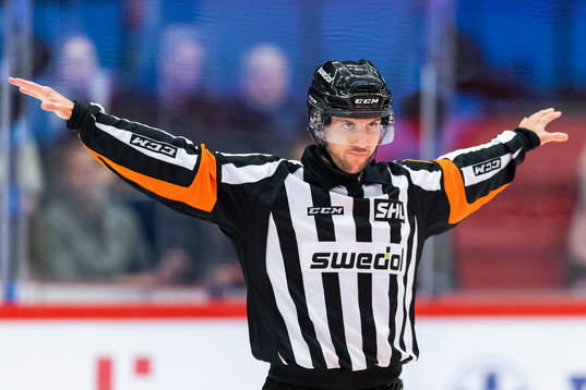 Domare Patric Bjälkander dömer bort mål
