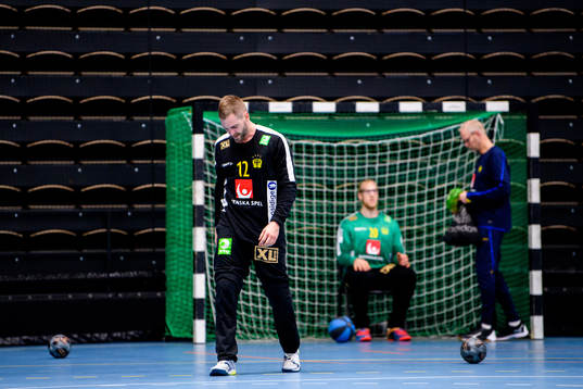 Målvakt Andreas Palicka och i bakgrunden målvakt Mikael