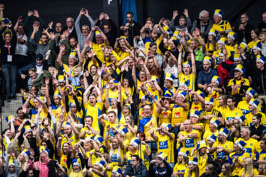 Swedish suporter
