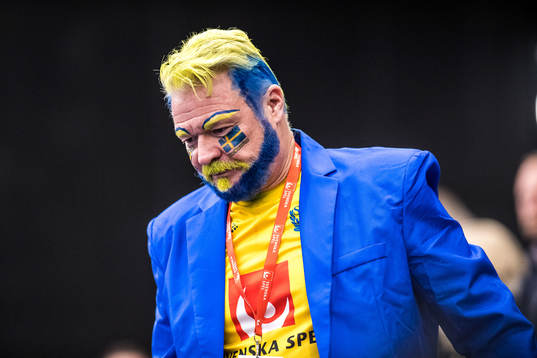 Swedish suporter