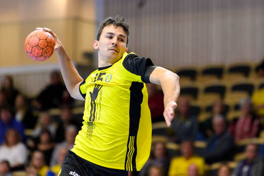 Sävehofs Stefan Sunajko