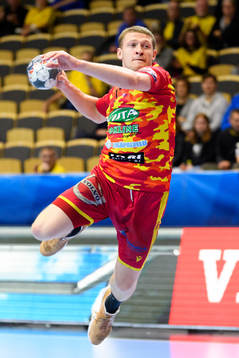 Cocks Yury Lukyanchuk