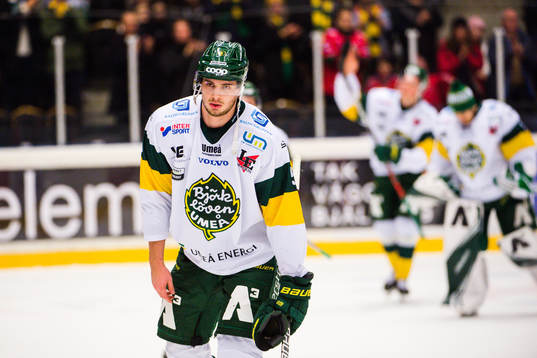 Björklövens Hardy Häman Aktell deppar