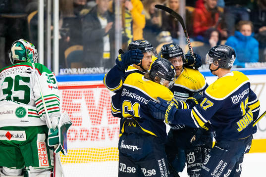 Spelare ur HV71 jublar