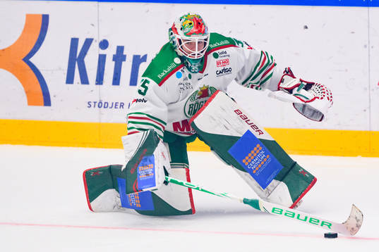 Rögles målvakt Roman Will