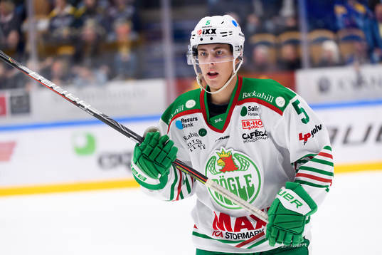 Rögles Samuel Johannesson