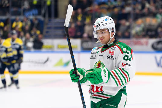 Rögles Leon Bristedt