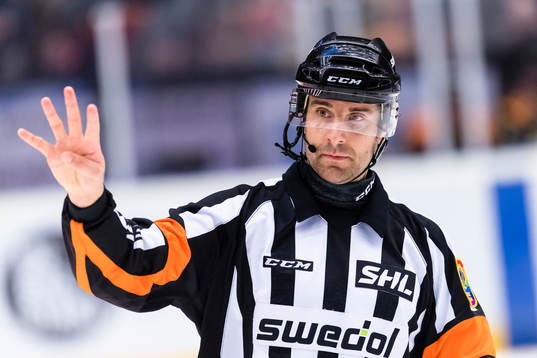 Domare Mikael Sjöqvist