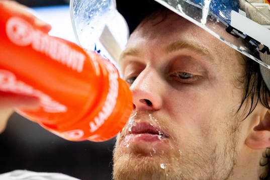 Djurgårdens målvakt Niklas Svedberg