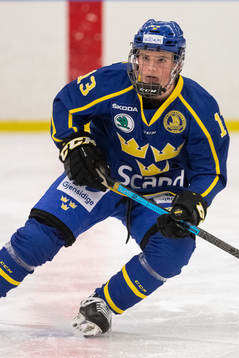 Sveriges William Rosenfors