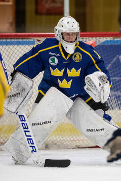 Sveriges målvakt Alexander Hellnemo