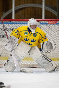 Sveriges målvakt William Larsson