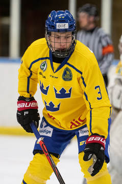 Sveriges Olle Skogfält