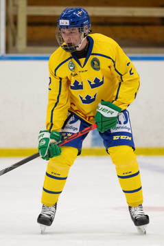 Sveriges Joel Kjellberg