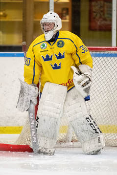 Sveriges målvakt William Larsson