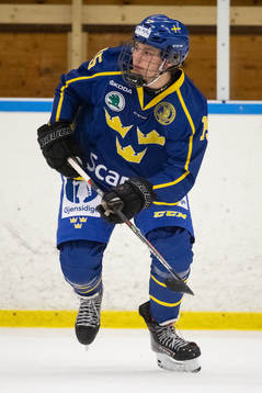 Sveriges Erik Müller