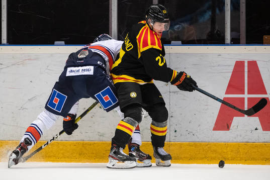 Brynäs Emil Forslund