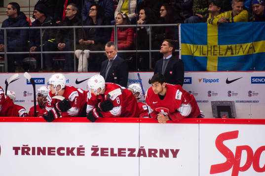 Tommy Albelin, Assistant coach of Switzerland