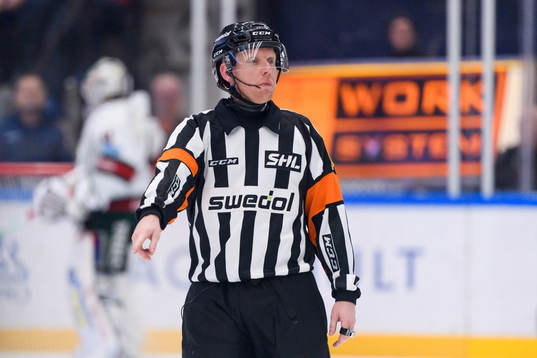 Domare Mikael Holm