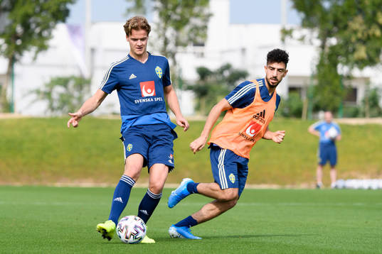August Erlingmark and Daleho Irandust