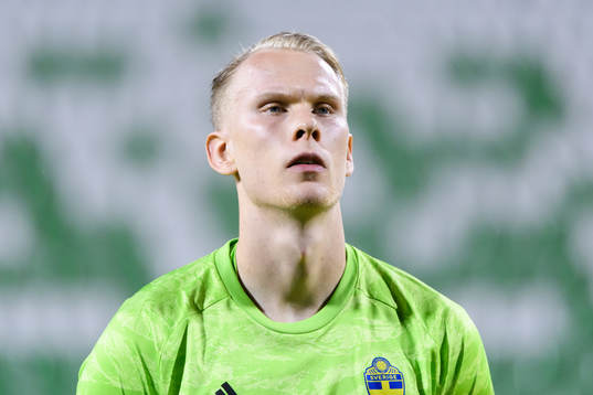 Goalkeeper Pontus Dahlberg of Sweden at lineup
