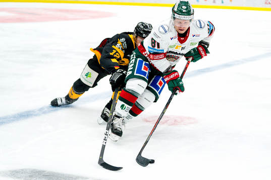 Skellefteås Adam Pettersson