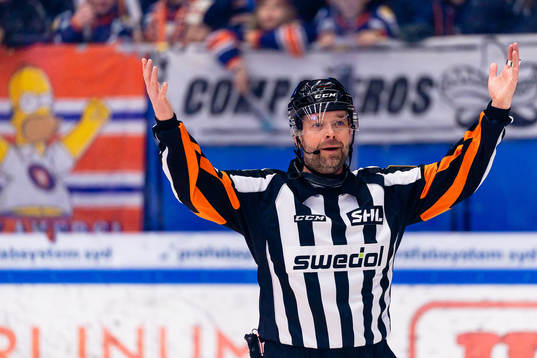Domare Patrik Sjöberg