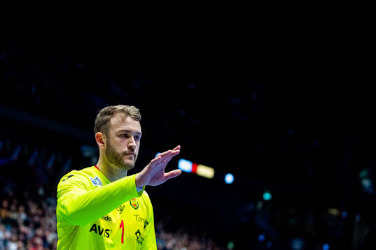 Goalkeeper Gonzalo Pérez de Vargas Moreno of Spain
