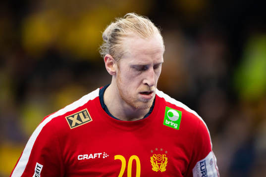 Goalkeeper Mikael Appelgren of Sweden